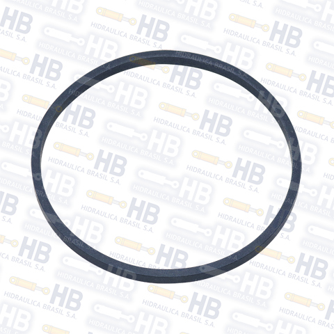 Anillo de teflon - 114,30x6,20x3,80