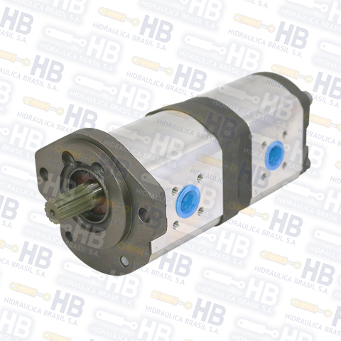 Bomba doble a engranaje - 19/19 cm3  - R979031227.