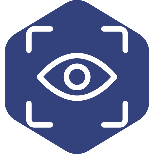 icon vision